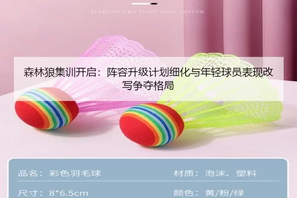 森林狼集训开启：阵容升级计划细化与年轻球员表现改写争夺格局